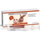 Alfavet RodiCare Dia, Supplementary Feed for Dwarf Rabbits and Guinea Pigs, Diarrhoea with Sodium Butyrate, Sugar-Free, 3 x 12 ml Injectors Alfavet RodiCare Dia, Supplementary Feed for Dwarf Rabbits and Guinea Pigs, Diarrhoea with Sodium Butyrate, Sugar-Free, 3 x 12 ml Injectors