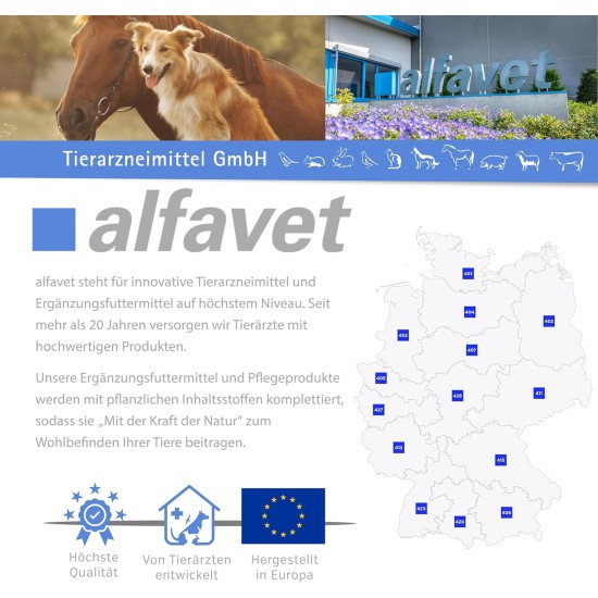 Alfavet RodiCare Dia, Supplementary Feed for Dwarf Rabbits and Guinea Pigs, Diarrhoea with Sodium Butyrate, Sugar-Free, 3 x 12 ml Injectors Alfavet RodiCare Dia, Supplementary Feed for Dwarf Rabbits and Guinea Pigs, Diarrhoea with Sodium Butyrate, Sugar-Free, 3 x 12 ml Injectors