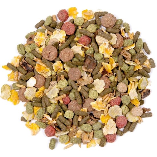 BEAPHAR - XtraVital Rabbit Food - For Rodents and Small Mammals - With Corn, Oats, Bean Flakes, Peas - Supports Health and Vitality - 1 kg BEAPHAR - XtraVital Rabbit Food - For Rodents and Small Mammals - With Corn, Oats, Bean Flakes, Peas - Supports Health and Vitality - 1 kg