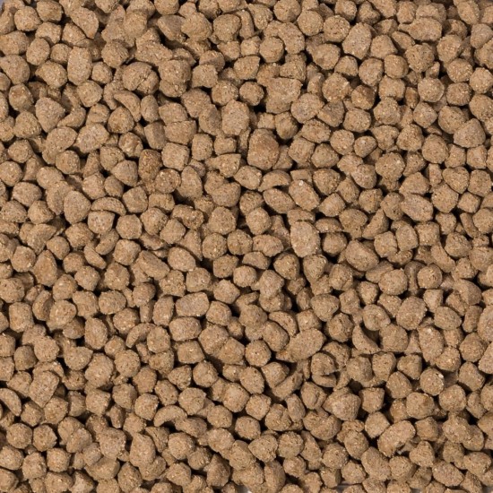 Beaphar Care+ 250g Rabbit Food Junior Beaphar Care+ 250g Rabbit Food Junior