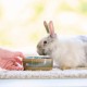 Beaphar Care+ Rabbit Food - 250g Beaphar Care+ Rabbit Food - 250g