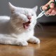 Pack of 3 pill dispenser, cat, pill dispenser, dog, medication feeder, transparent tablet dispenser, syringe tablet insert, reusable tablet insert, for cats and small pets