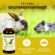 Rodicare Artrin Erg. futterm. Liquid for Small Rodents Rodicare Artrin Erg. futterm. Liquid for Small Rodents