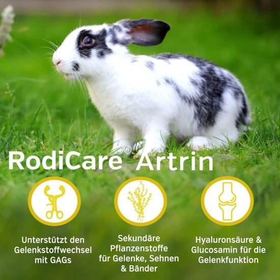 Rodicare Artrin Erg. futterm. Liquid for Small Rodents Rodicare Artrin Erg. futterm. Liquid for Small Rodents