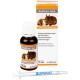 alfavet RODICARE Akut | 15 ml | Supplementary Feed for Rabbits, Guinea Pigs and Small Rodents | For Regulating Digestive Processes | 15 ml Glass Bottle with Dosing Syringe alfavet RODICARE Akut | 15 ml | Supplementary Feed for Rabbits, Guinea Pigs and Small Rodents | For Regulating Digestive Processes | 15 ml Glass Bottle with Dosing Syringe