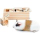 Karlie Pet Intelligence Toy