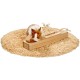 Karlie Pet Intelligence Toy