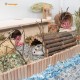 Niteangel Wooden Ladder Bridge, Hamster Mouse Rat Rodents Toy Small Animal Chew Toy (39.9 cm x 15.0 cm) Niteangel Wooden Ladder Bridge, Hamster Mouse Rat Rodents Toy Small Animal Chew Toy (39.9 cm x 15.0 cm)