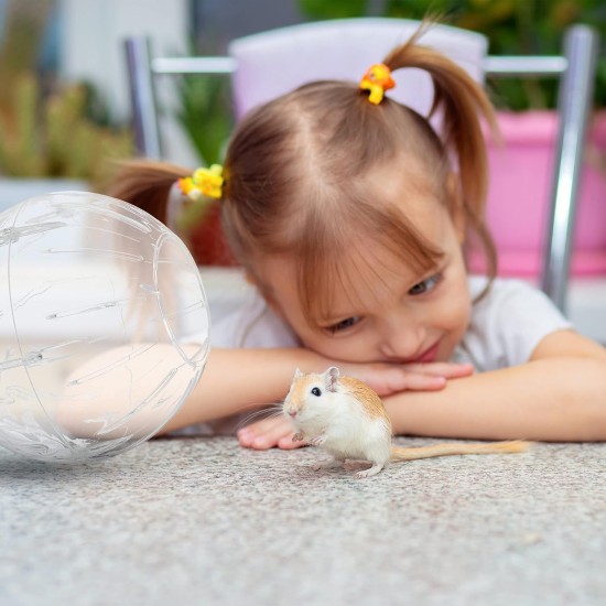 Relaxdays Hamster Ball, Diameter 18.5 cm, Running Ball for Hamsters and Mice, Plastic, Rodent Toy for Running, Transparent/White Relaxdays Hamster Ball, Diameter 18.5 cm, Running Ball for Hamsters and Mice, Plastic, Rodent Toy for Running, Transparent/White