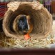 Relaxdays Rabbit House, 3 Piece Set, Grass House, Rabbit Toy, Small Animal Accessories for Rodents, 2 Sizes, Natural Relaxdays Rabbit House, 3 Piece Set, Grass House, Rabbit Toy, Small Animal Accessories for Rodents, 2 Sizes, Natural
