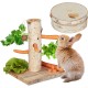 Relaxdays Rabbit Toy, 2-Piece Set, Food Tree & Intelligence Toy, Wood, Accessories, Guinea Pigs, Rabbits, Natural Relaxdays Rabbit Toy, 2-Piece Set, Food Tree & Intelligence Toy, Wood, Accessories, Guinea Pigs, Rabbits, Natural