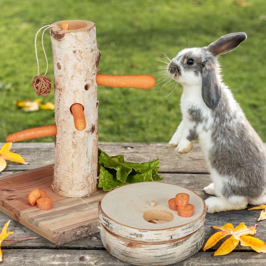 Relaxdays Rabbit Toy, 2-Piece Set, Food Tree & Intelligence Toy, Wood, Accessories, Guinea Pigs, Rabbits, Natural Relaxdays Rabbit Toy, 2-Piece Set, Food Tree & Intelligence Toy, Wood, Accessories, Guinea Pigs, Rabbits, Natural