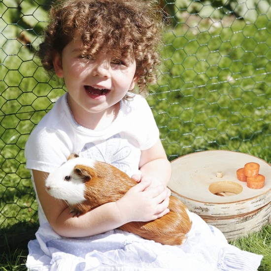 Relaxdays Rabbit Toy, 2-Piece Set, Food Tree & Intelligence Toy, Wood, Accessories, Guinea Pigs, Rabbits, Natural Relaxdays Rabbit Toy, 2-Piece Set, Food Tree & Intelligence Toy, Wood, Accessories, Guinea Pigs, Rabbits, Natural