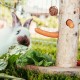 Relaxdays Rabbit Toy, 2-Piece Set, Food Tree & Intelligence Toy, Wood, Accessories, Guinea Pigs, Rabbits, Natural Relaxdays Rabbit Toy, 2-Piece Set, Food Tree & Intelligence Toy, Wood, Accessories, Guinea Pigs, Rabbits, Natural