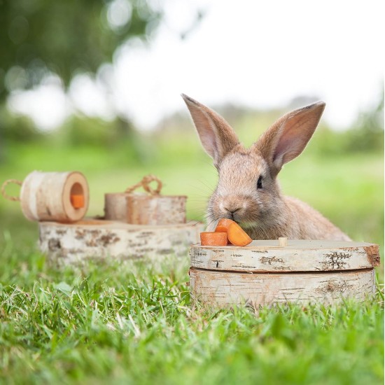Relaxdays Rabbit Toy, 2-Piece Set, Intelligence Toy, Wood, Activity Rabbits & Guinea Pigs, Natural Relaxdays Rabbit Toy, 2-Piece Set, Intelligence Toy, Wood, Activity Rabbits & Guinea Pigs, Natural