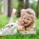 Relaxdays Rabbit Toy, 2-Piece Set, Intelligence Toy, Wood, Activity Rabbits & Guinea Pigs, Natural Relaxdays Rabbit Toy, 2-Piece Set, Intelligence Toy, Wood, Activity Rabbits & Guinea Pigs, Natural