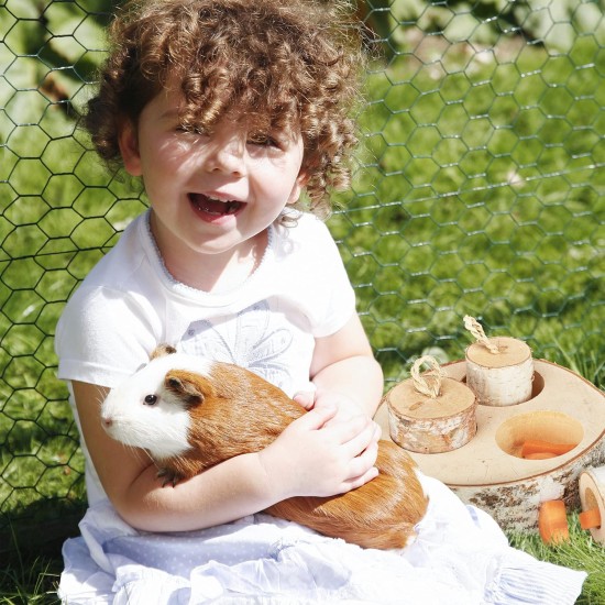 Relaxdays Rabbit Toy, 2-Piece Set, Intelligence Toy, Wood, Activity Rabbits & Guinea Pigs, Natural Relaxdays Rabbit Toy, 2-Piece Set, Intelligence Toy, Wood, Activity Rabbits & Guinea Pigs, Natural