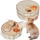 Relaxdays Rabbit Toy, 2-Piece Set, Intelligence Toy, Wood, Activity Rabbits & Guinea Pigs, Natural Relaxdays Rabbit Toy, 2-Piece Set, Intelligence Toy, Wood, Activity Rabbits & Guinea Pigs, Natural