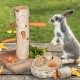 Relaxdays Rabbit Toy, 2-Piece Set, Rodent Tree & Intelligence Toy, Wood, Accessories, Guinea Pigs, Rabbits, Natural