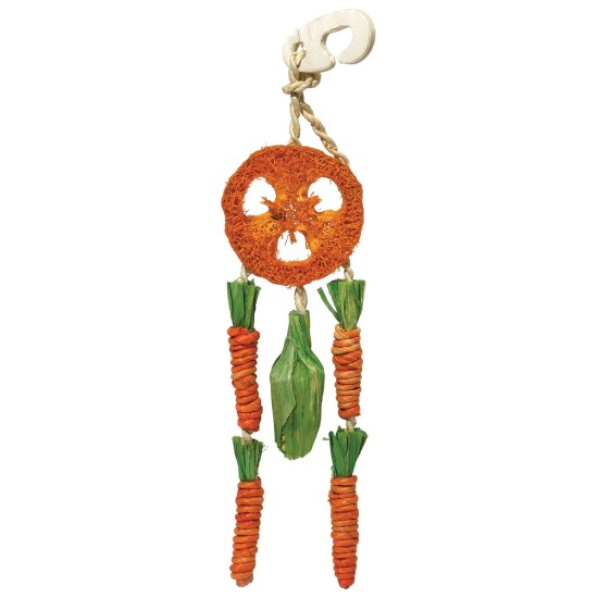 Rosewood Boredom Breaker Carrot Dream Catcher for Small Animals Rosewood Boredom Breaker Carrot Dream Catcher for Small Animals