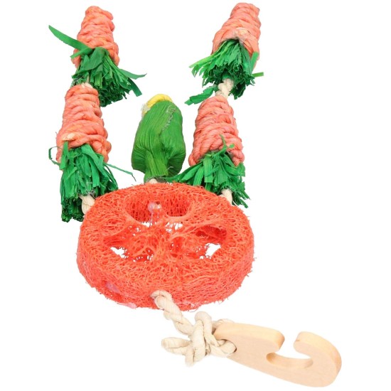 Rosewood Boredom Breaker Carrot Dream Catcher for Small Animals Rosewood Boredom Breaker Carrot Dream Catcher for Small Animals