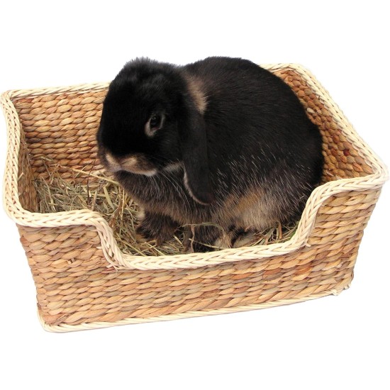 Rosewood Small Animal Activity Toy Chill-n-Snooze Bed Boredom Breaker