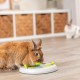 TRIXIE Interactive Dishwasher Safe Non-Slip Small Animal Toy Flip Board Plastic Diameter 23 cm 62813 TRIXIE Interactive Dishwasher Safe Non-Slip Small Animal Toy Flip Board Plastic Diameter 23 cm 62813