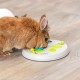 TRIXIE Interactive Dishwasher Safe Non-Slip Small Animal Toy Flip Board Plastic Diameter 23 cm 62813 TRIXIE Interactive Dishwasher Safe Non-Slip Small Animal Toy Flip Board Plastic Diameter 23 cm 62813