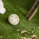 Trixie Plastic Snack Ball, 7 cm, Assorted Colors ( Blue/ Yellow ) Trixie Plastic Snack Ball, 7 cm, Assorted Colors ( Blue/ Yellow )