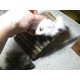 Wooden Bridge Hamster Mouse 22 x 10 cm Wooden Bridge Hamster Mouse 22 x 10 cm