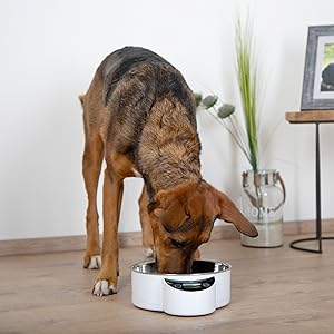 Kerbl-Stainless-Steel-Bowl-Anti-Dribble-500-ml-B005GDHJCI