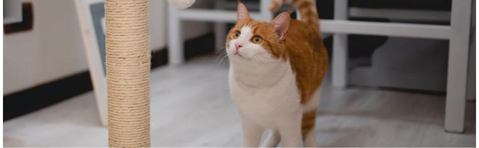 New-Ferplast-Atlas-Plastic-Drinker-For-Cat-Carrier-B001N00AF6