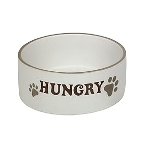 Nobbys-quotHungry-Ceramic-Dogs-Bowl-Cream-7-Inch-B01CVPT6QK
