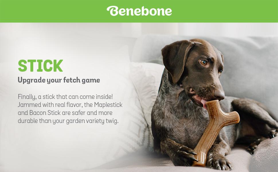 Benebone-Indestructible-Dog-Chew-Toy-Gift-Box-for-Aggressive-Chewers-with-Wishbone-Herringbone-Stick-B09DJGXWKW