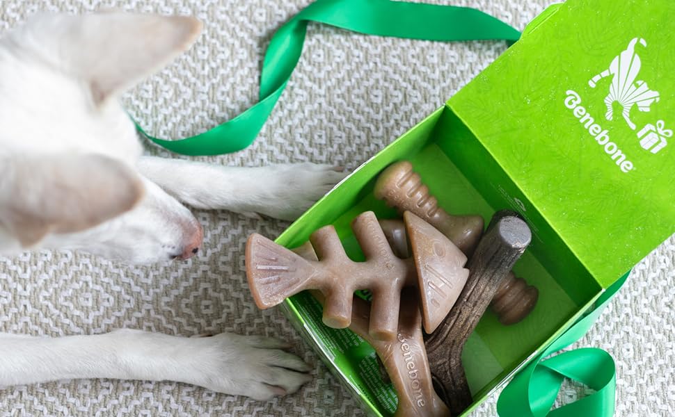 Benebone-Indestructible-Dog-Chew-Toy-Gift-Box-for-Aggressive-Chewers-with-Wishbone-Herringbone-Stick-B09DJGXWKW