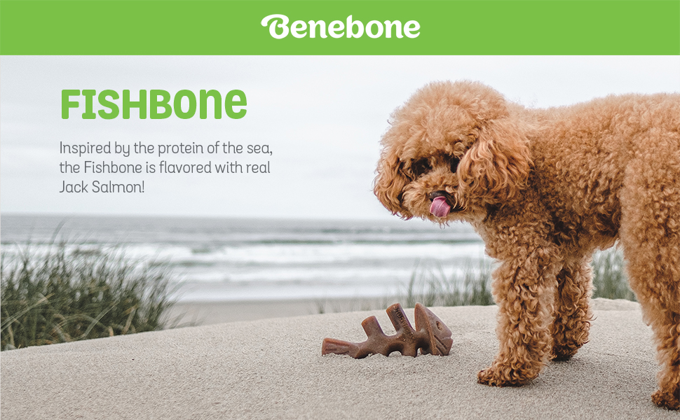 Benebone-Medium-Fishbone-for-Dogs---Herringbone-Chew-Toy-B09B2Y2G4K