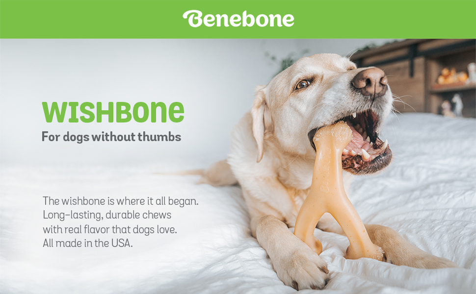 Benebone-Wishbone-Real-Bacon-Medium-Durable-Dog-Chew-Toy-for-Aggressive-Chewers-B00CPDWT2M