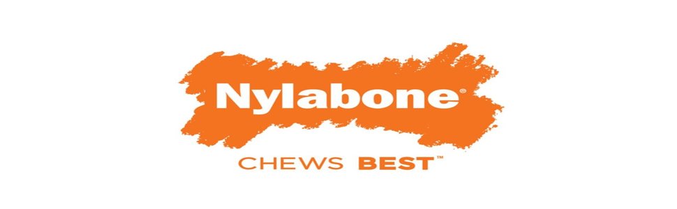 Interpet-955204-Nylabone---Long-Lasting-Chewing-Ring-Giant-B0002ASMT4