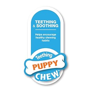Interpet-955204-Nylabone---Long-Lasting-Chewing-Ring-Giant-B0002ASMT4