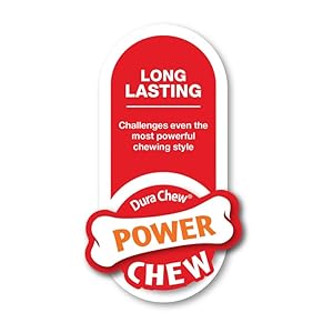 Interpet-955204-Nylabone---Long-Lasting-Chewing-Ring-Giant-B0002ASMT4