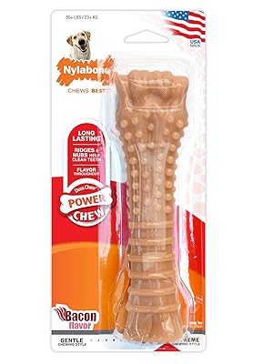 Nylabone-Bacon-Bone-Dog-Chew-Souper-B000GQ80TQ