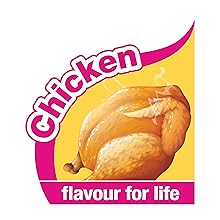 Nylabone-Dura-Power-Chew-Bone-Shape-Twin-Pack-with-Bacon-and-Chicken-Flavour-Medium-Dogs-up-to-16-kg-B008A3TEA6