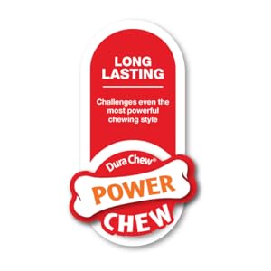 Nylabone-Dura-Power-Chew-Bone-Shape-Twin-Pack-with-Bacon-and-Chicken-Flavour-Medium-Dogs-up-to-16-kg-B008A3TEA6