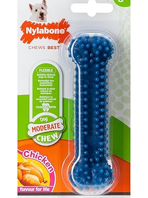 Nylabone-Medium-Dental-Chew-Bone-for-Dogs-Flexible-Chew-Bone-Chicken-Flavour-Extra-Small-Suitable-fo-B0010P829K