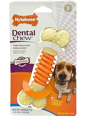 Nylabone-Pro-Action-Dental-Chew-Large-B0027J5RZA