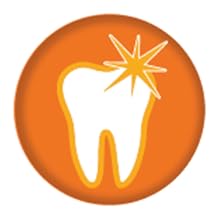 Nylabone-Pro-Action-Dental-Chew-Medium-B0027J7M1C