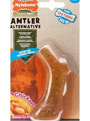 Nylabone-Puppy-Antler-Dog-Chew-B01H507RU8
