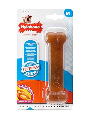 Nylabone-Puppy-Bone---Wolf-B0002ASO74