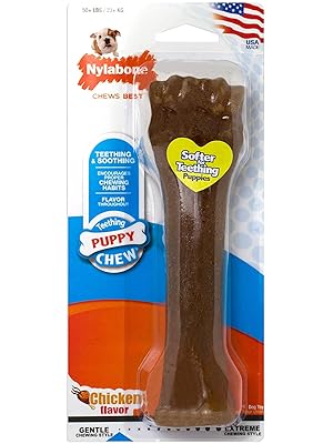 Nylabone-Puppy-Bone-Souper-B0002ASO7E