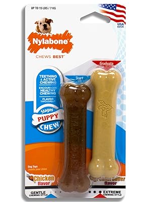 Nylabone-Puppy-Chew-Bone-and-Dental-Care-Toy-for-Teething-Puppies-Soothing-Chew-Bone-for-Small-Puppi-B00JZIDDSO